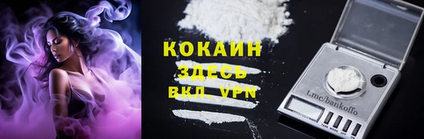 гашик Беломорск