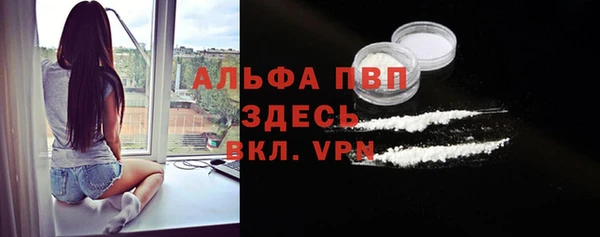 молекула духа Богородск