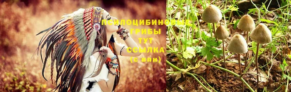 тгк Строитель
