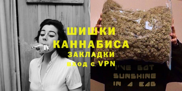 дурь Богородицк